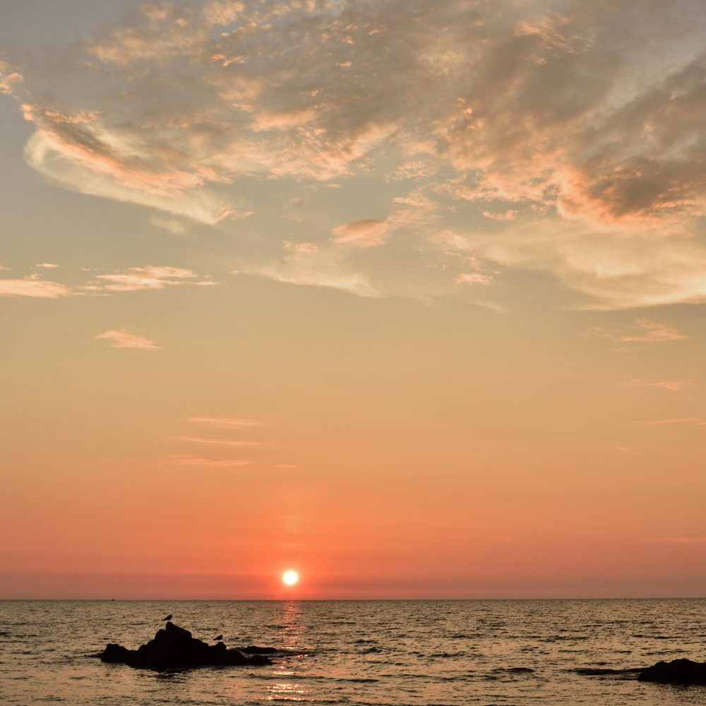 薄紅色の海の夕暮れ