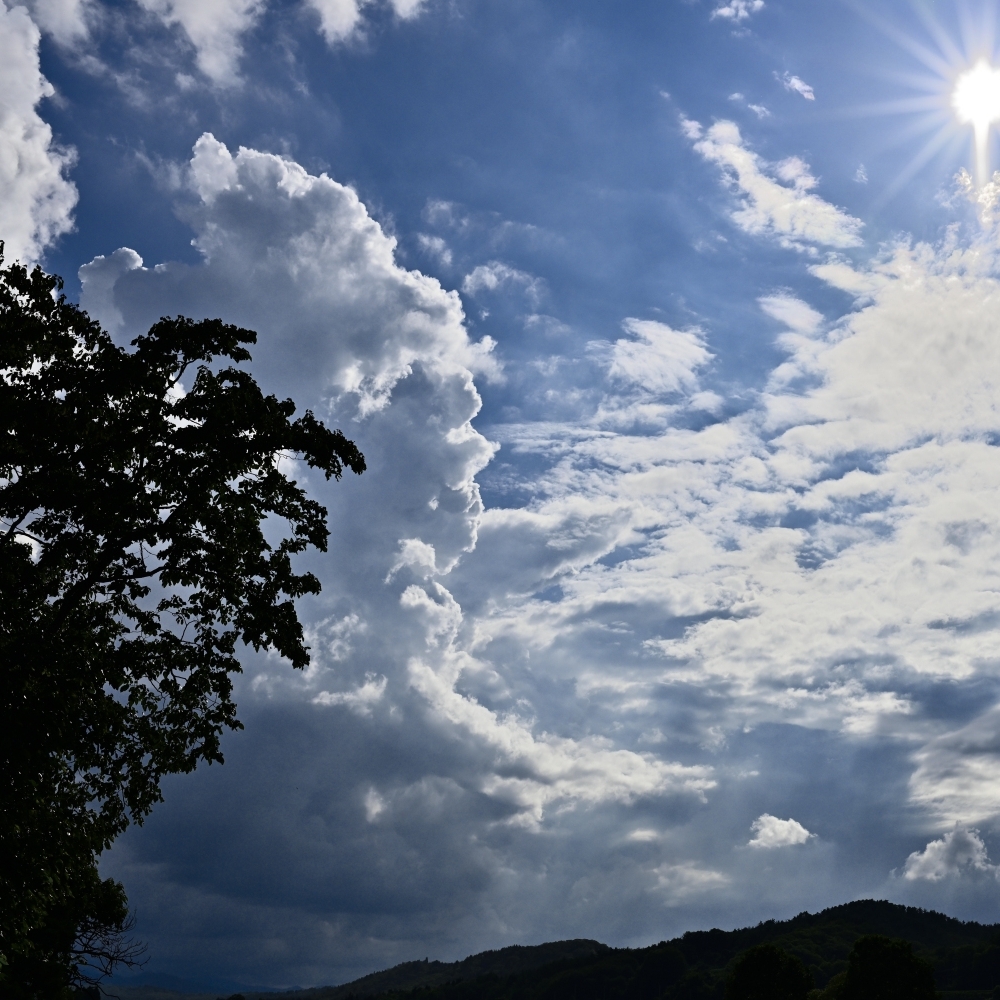 陽は照りつける