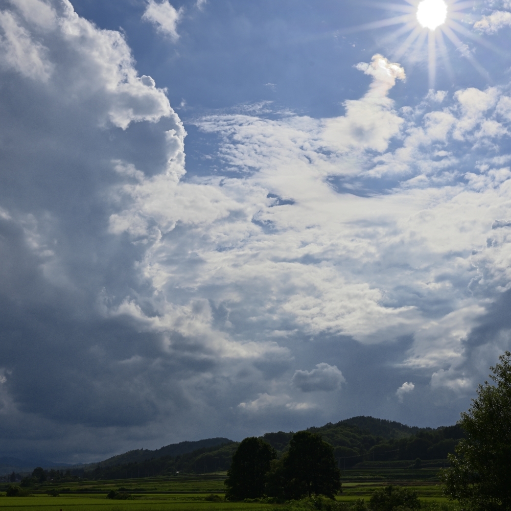 短い夏だから、熱く熱く熱くなれ