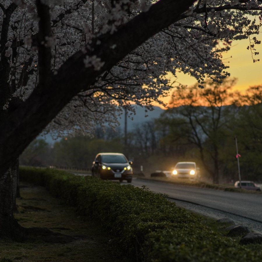 陽は傾いて家路へ