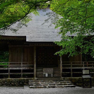 長い年月の間に堂は自然の一部になった