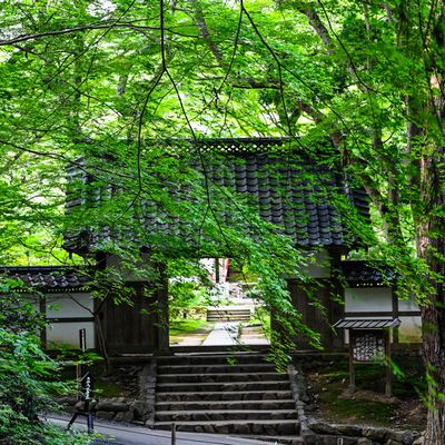 緑を抜ければ山門にいたる