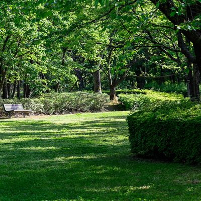 風、フレッシュ