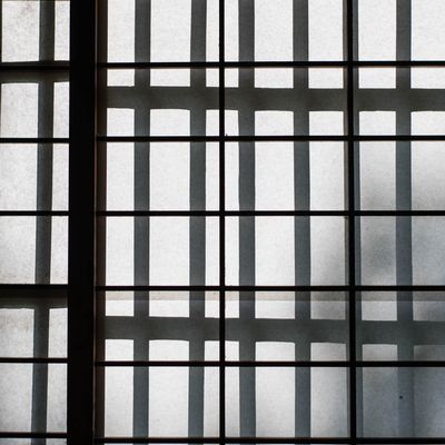 白い障子と格子の影