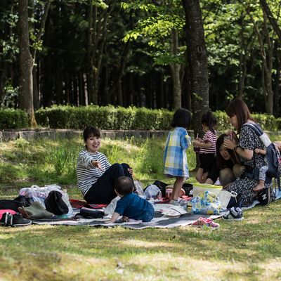 木陰のランチタイム