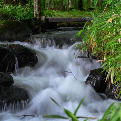 森の流れの小さな滝