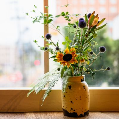 印象的なヒマワリ