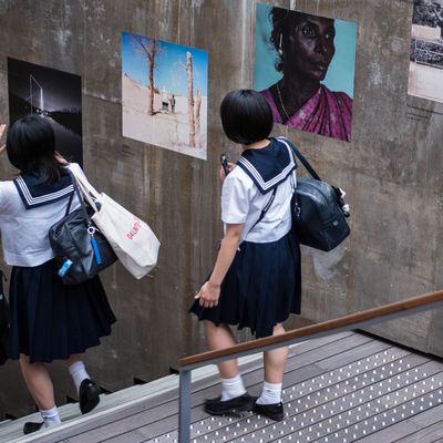 セーラー服、爽やか