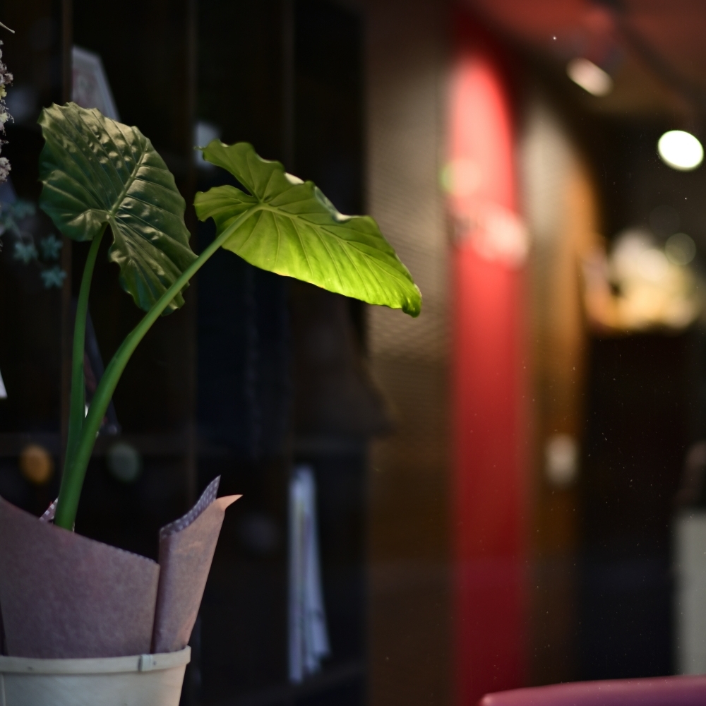 お店の灯が映えるころ With 58mm f/1.4G