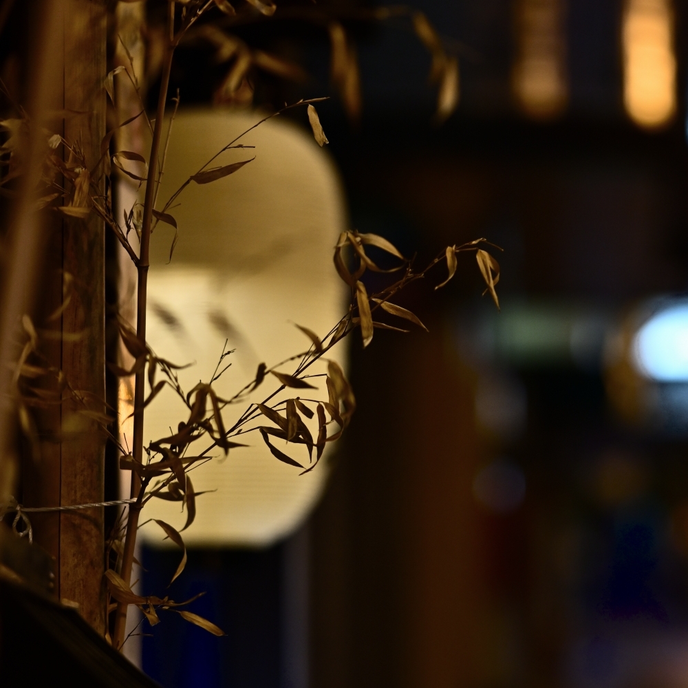 風も涼しや宵の口 With 105mm f/1.4E