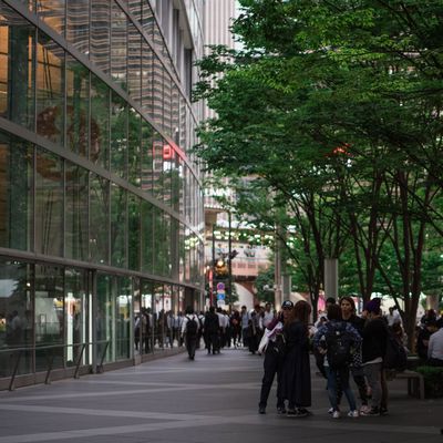 緑は都会のオアシス